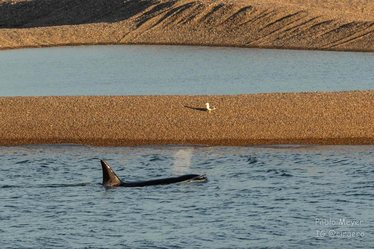 La Elvira Natural Lodge Nature & Wildlife Experience In Peninsula Valdes Punta Delgada エクステリア 写真